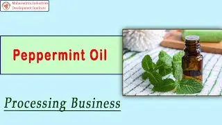 Peppermint Oil  Processing Business