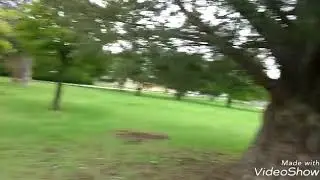Morning strol through Rosemont Park in Fort Worth Texas
