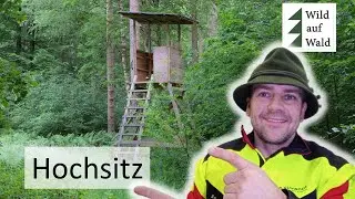 🦌Der richtige Standplatz f&uuml;r den Hochsitz &ndash; 5 entscheidende Tipps! #wildaufwald
