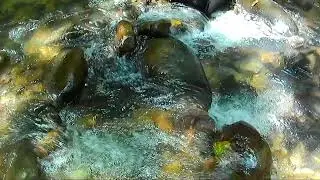 water flow effect free stock video footage no copyright