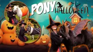 JE DEGUISE MES PONEYS POUR HALLOWEEN !