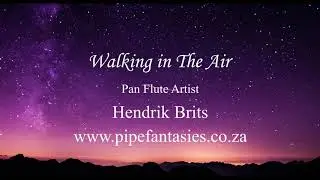 Celtic Song - Walking in The Air - Hendrik Brits Pan flute Artist