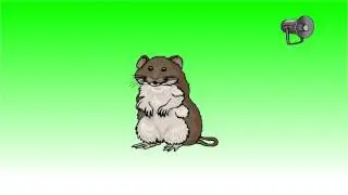Hamster sound effect