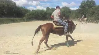 PCR Reining Horses - Gli Istruttori