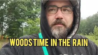 Treeing Feist Training - Woods Time in the Rain