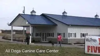 All Dogs Canine Care Center