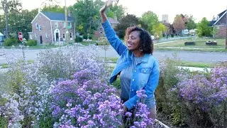 Help Build a Greenhouse in Morningside Detroit