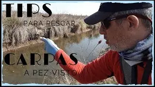 Tips Para Pescar Carpas Con Mosca