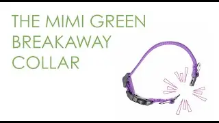 How Do Breakaway Dog Collars Work?