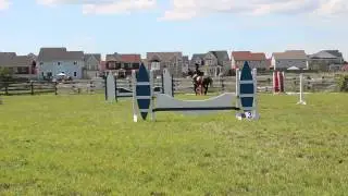 Power and speed round entry level POny club showjumping qualifier- Champions me and Alamar!