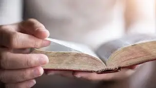 Family Series: Training Part 2 | CCBC Wednesday Night Bible Study - November 8, 2023