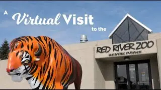 The Red River Zoo - Virtual Visit