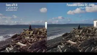 Panasonic Lumix DC-GH5S vs Sony a7S II Log footage comparison