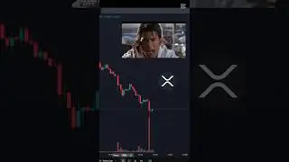 🚨 XRP Crashing?! Show Me The Money! 💸😂