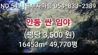 # 54번. 시골부자마을. 안동시 싼임야 49,770평 평당3,500원   #경산부동산 #구미부동산 경북부동산 #영천부동산 