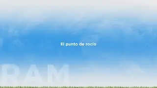 El punto de roc&iacute;o