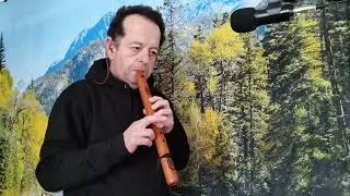 Healer - #NativeAmericanstyleFlute