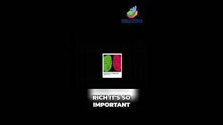 Understand TRUE WEALTH vs Just Being RICH!