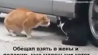 Кло