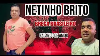 BREGAÃO DE LUXO BRASILEIRO NETINHO BRITO AS MELHORES