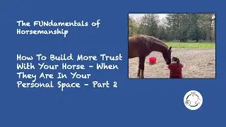 Building Trust With Your Horse Part 2 - Having Them in Your Personal Space While You're Sitting Down