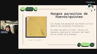 Hongos nematófagos como agentes de control biológico de nematodos fitoparásitos