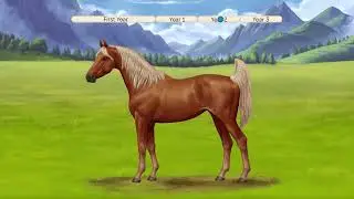 Flaxen Chestnut Arabian - Horse World Online