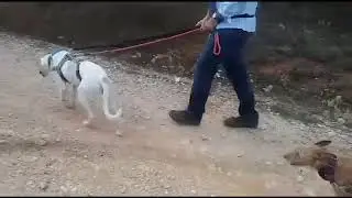 CA Sisuca, nos encantas guapa.