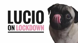 Lucio On Lockdown