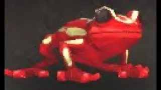 Battle Safari: Boghopper Battle Pet, Nazmir, WoW Retail