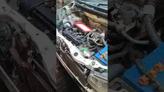 engine overhaul Suzuki Alto 660cc. #honda #toyota #suzuki #engine #overhaul #repair #rebuild #reels