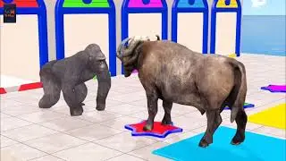 Long Slide Game with Cow Elephant Gorilla Hippopotamus Tiger 3d 2026