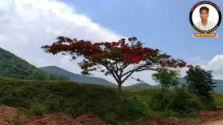 #Ebhe ebhe Latent new Christian kuvi song 2022|Kuvi song 2022