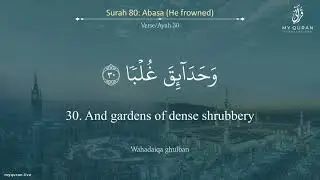 080 Surah Abasa With English Translation By Hafith Muhsin Ahmad Sulaiman