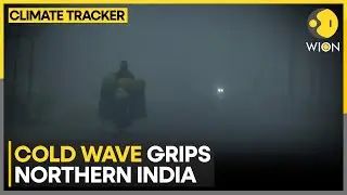 North India Shivers: Cold Wave Hits 13 States, Dense Fog Alert | WION Climate Tracker