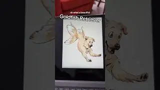 Dog + fish = mermaid? | Sea Pups