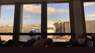 Takeoff/Landing: United Airlines Flight 394, Boeing 777-200 (N780UA), Honolulu to Houston
