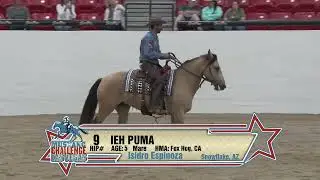 2024 Mustang Champions Western Challenge Class Review - IEH Puma