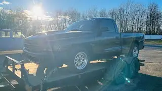 Ripper goes to the daily sandbagger race 
