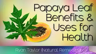Papaya Leaves: Benefits and Uses