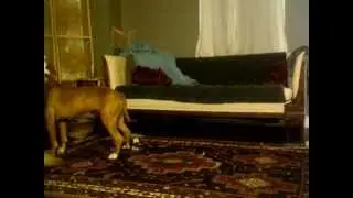 Nina delivers a basket