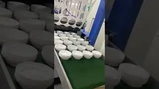 D450 double rolls plastic lid forming machine