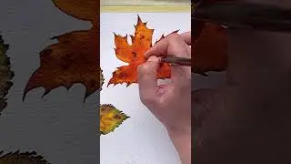 &bull;Embracing the Beauty of Fall 🍁🍁  Maple leave watercolor tutorial  #watercoloring