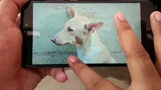 Miui 9 New Photo Editor in Gallery Full Tutorial | Hindi - हिंदी