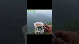#kodaikanal wood house #best view point#mountain view#misty view#waterfalls view