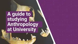 An introduction to studying Anthropology at university - inc what to expect! | UniTaster On Demand