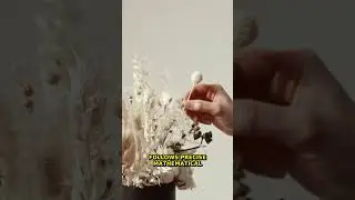 Mind-Blowing Science Behind Natural Textures