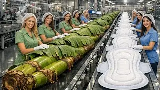 Engineering Marvel: Inside a Modern Banana Stem Factory & the Sanitary Pad Manufacturing Process