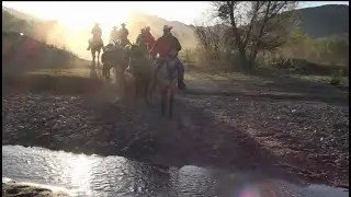 You're invited to saddle up for the Desert Caballeros Trail Ride!