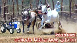 ajim patel bihiriya 💓bull Best Video Bullock Jodi Race Pat Video pat pratiyogita murajhad💓😎